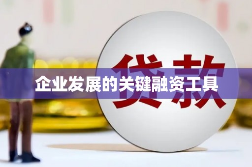 浉河企业发展的关键融资工具