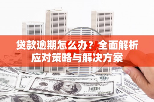 浉河贷款逾期怎么办？全面解析应对策略与解决方案