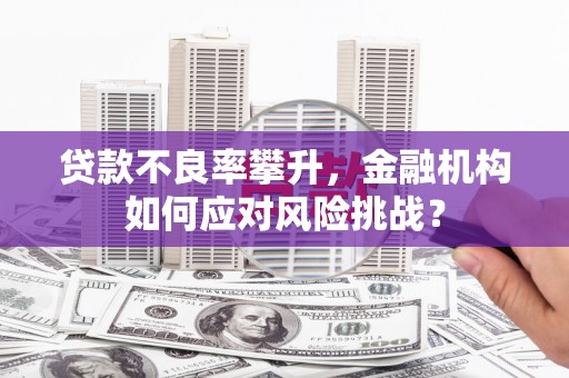 浉河贷款不良率攀升，金融机构如何应对风险挑战？