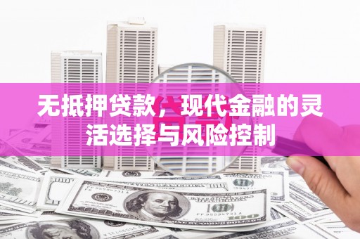 浉河无抵押贷款，现代金融的灵活选择与风险控制