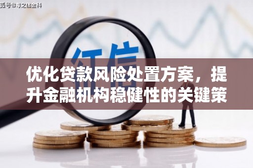 浉河优化贷款风险处置方案，提升金融机构稳健性的关键策略