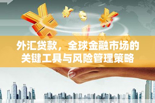 浉河外汇贷款，全球金融市场的关键工具与风险管理策略