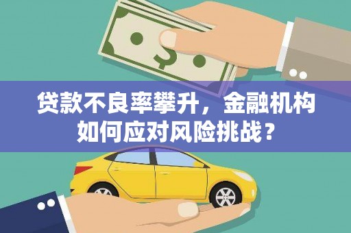 浉河贷款不良率攀升，金融机构如何应对风险挑战？