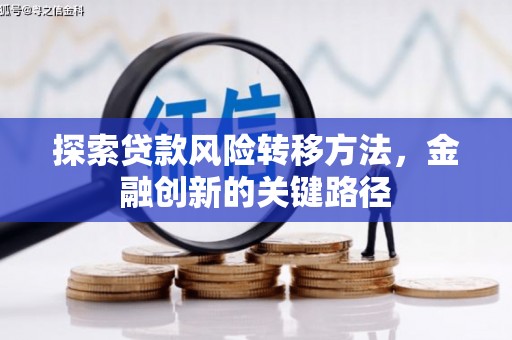 浉河探索贷款风险转移方法，金融创新的关键路径