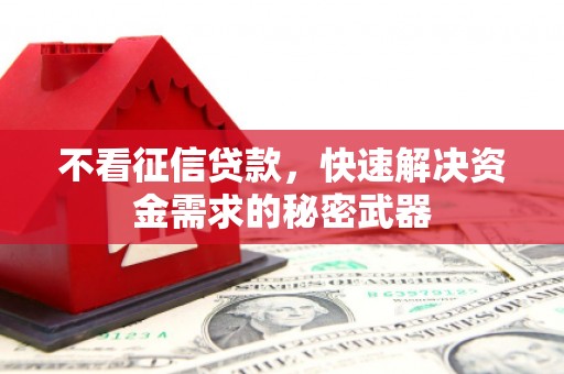 浉河不看征信贷款，快速解决资金需求的秘密武器