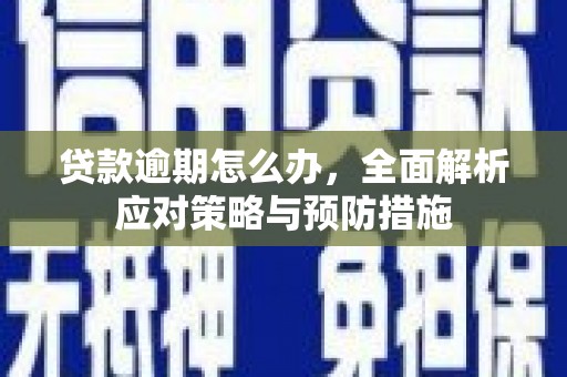 浉河贷款逾期怎么办，全面解析应对策略与预防措施