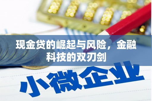 浉河现金贷的崛起与风险，金融科技的双刃剑