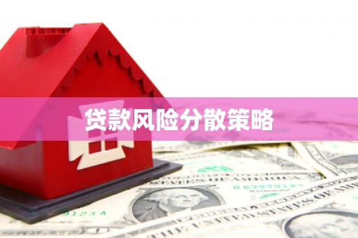浉河贷款风险分散策略