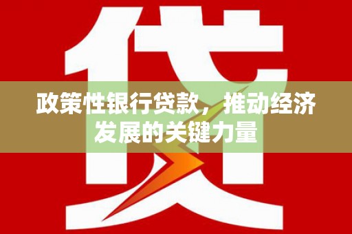 浉河政策性银行贷款，推动经济发展的关键力量