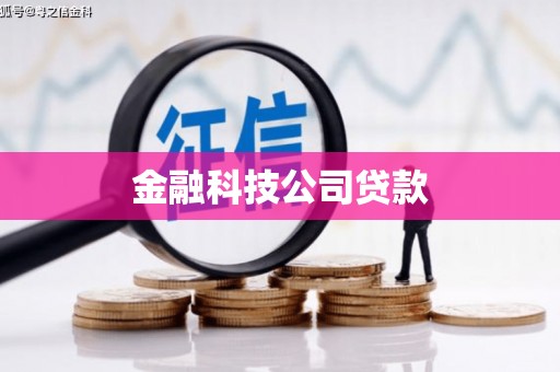 浉河金融科技公司贷款