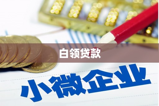 浉河白领贷款