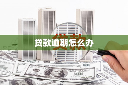 浉河贷款逾期怎么办