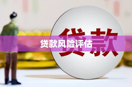 浉河贷款风险评估