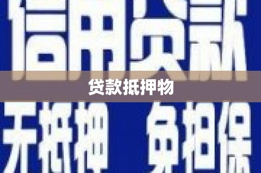 浉河贷款抵押物