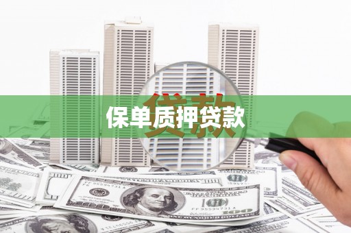 浉河保单质押贷款