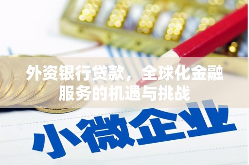 浉河外资银行贷款，全球化金融服务的机遇与挑战