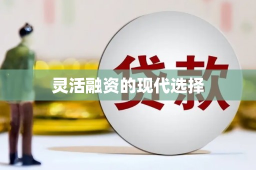 浉河灵活融资的现代选择