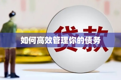 浉河如何高效管理你的债务