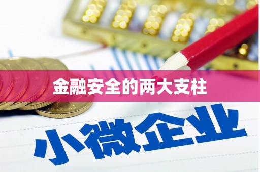浉河金融安全的两大支柱
