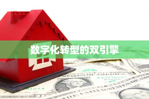 浉河数字化转型的双引擎