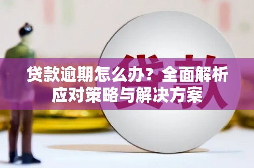 浉河贷款逾期怎么办？全面解析应对策略与解决方案