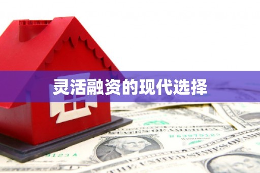 浉河灵活融资的现代选择