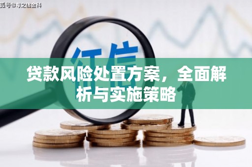 浉河贷款风险处置方案，全面解析与实施策略