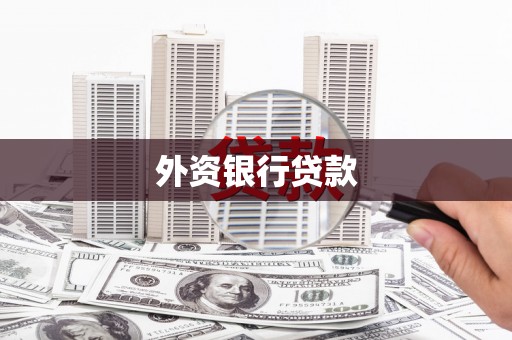 浉河外资银行贷款