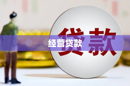 浉河经营贷款