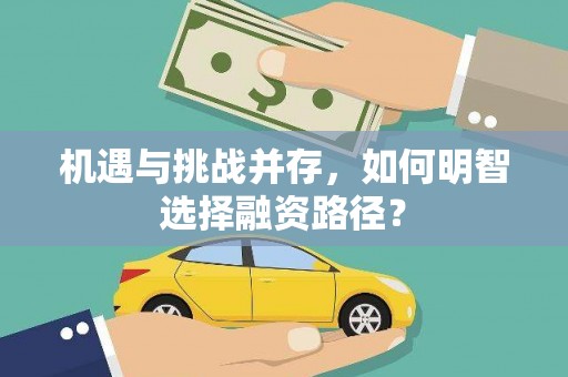 浉河机遇与挑战并存，如何明智选择融资路径？