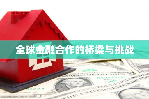 浉河全球金融合作的桥梁与挑战