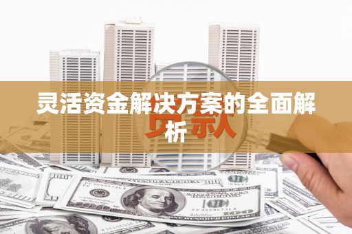 浉河灵活资金解决方案的全面解析