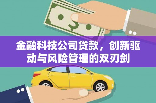 浉河金融科技公司贷款，创新驱动与风险管理的双刃剑